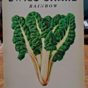 Swiss chard 'Rainbow' Heirloom Seeds