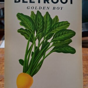 Beetroot*Golden Boy*Heirloom Seeds
