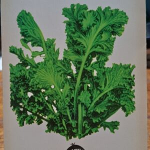 Mustard "Lime Streaks" Heirloom Seeds