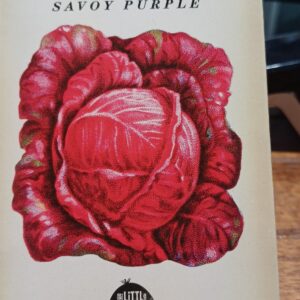 Cabbage *Savoy Purple Heirloom Seeds