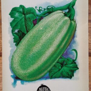 Zucchini 'Black Beauty' Heirloom Seeds