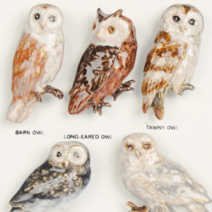 Owl Magnets