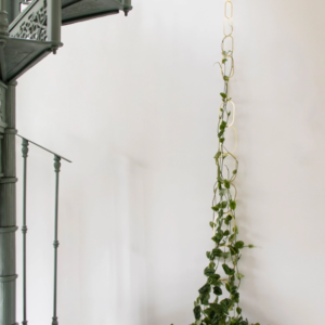 Climbing plant support