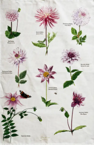 Dahlia 100% Organic Cotton Tea Towel - Image 3