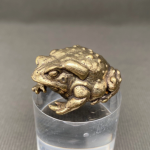 Brass toad