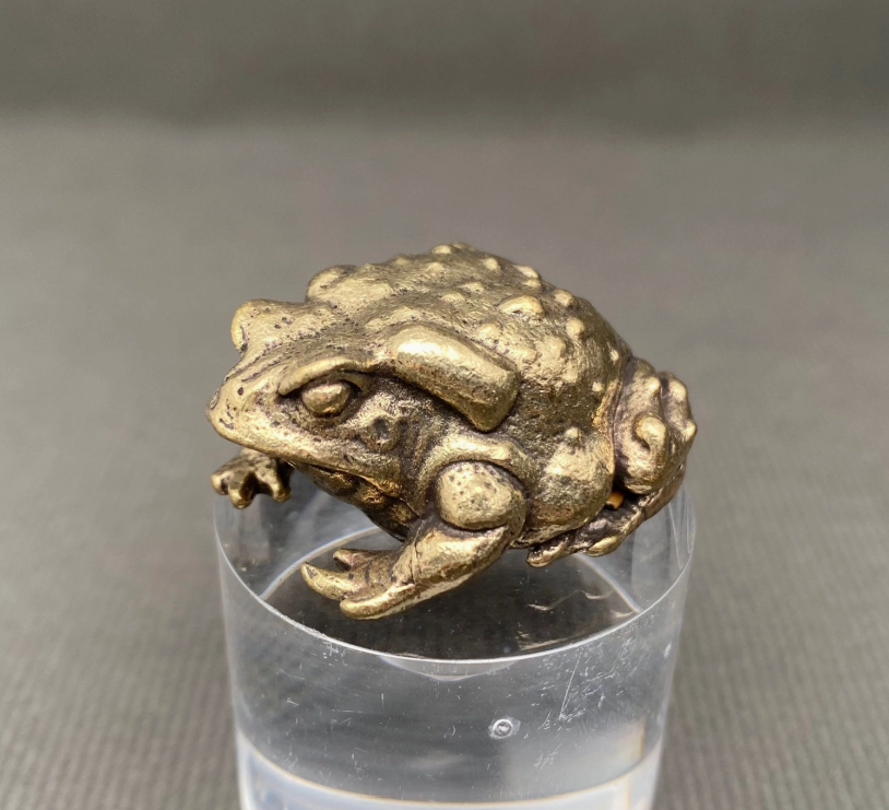 Brass toad