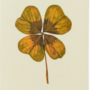 Cards-Four Leaf Clover