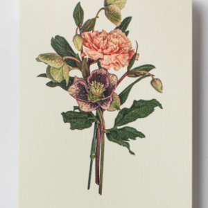 Cards-Posy of Hellebore & Carnation