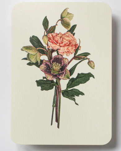 Cards-Posy of Hellebore & Carnation