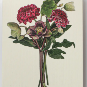 Cards-Posy of Hellebore & Scabiosa ll