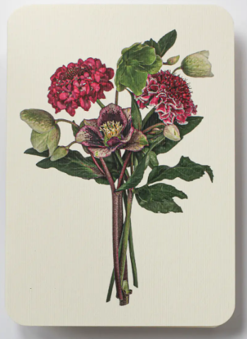 Cards-Posy of Hellebore & Scabiosa ll