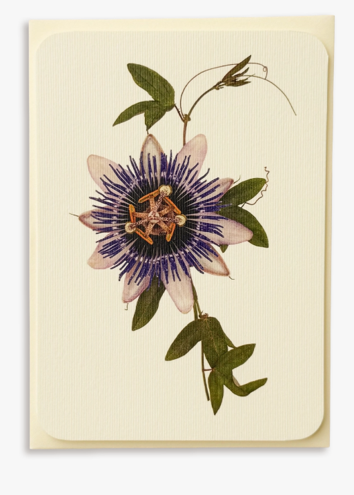 Cards-Passion Flower - Image 3